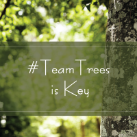 #Team Trees TAK